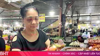 Ha Tinh no ha descubierto ningún huevo falso, los consumidores no deberían entrar en pánico.