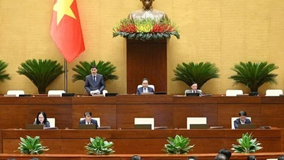 The National Assembly discussed the draft Law amending and supplementing a number of articles of the Law on Enterprises.