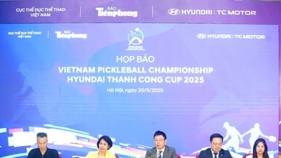ការប្រកួតបាល់ទាត់ជើងឯកវៀតណាមឆ្នាំ 2025 ចាប់ផ្តើម