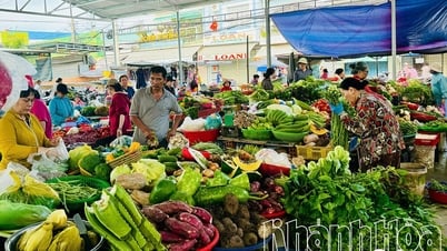 គណៈកម្មាធិការប្រជាជនខេត្ត Khanh Hoa បានចេញបទប្បញ្ញត្តិស្តីពីការគ្រប់គ្រងទីផ្សារក្នុងខេត្ត។