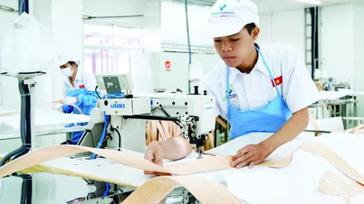លាមកបីជើងក្នុងសេដ្ឋកិច្ច