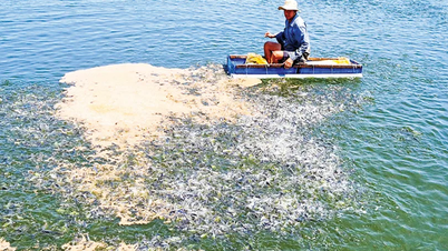 Bảo vệ, phát triển nguồn lợi thủy sản bền vững