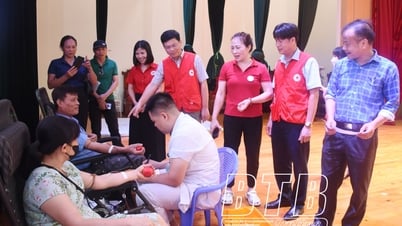 Quynh Phu៖ ប្រមូលឈាមចំនួន ៤១១ ប្លោក ក្នុងពិធីបុណ្យបរិច្ចាគឈាមស្ម័គ្រចិត្តលើកទី ២ ឆ្នាំ ២០២៥