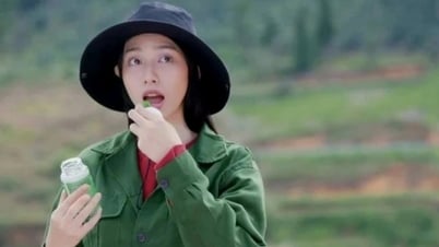 La señorita Thuy Tien arrestada: La "inocencia" del accionista que posee el 30% de las acciones