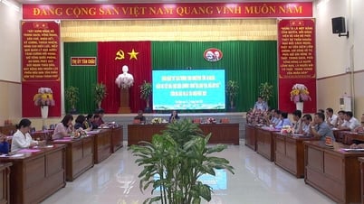 Supervising the program to eliminate temporary and dilapidated houses in Tan Chau town