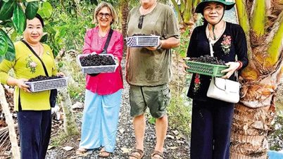 Escape poverty by growing mulberry and raising hamsters