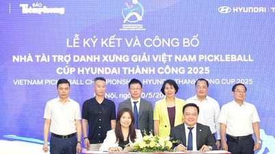 Giải pickleball Việt Nam có tổng giải thưởng hơn 1 tỉ đồng