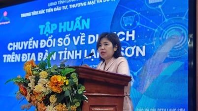 វគ្គបណ្តុះបណ្តាលស្តីពីការផ្លាស់ប្តូរឌីជីថលក្នុងស្ថិតិទេសចរណ៍នៅ Lang Son - កាសែត Lang Son និងស្ថានីយ៍វិទ្យុ និងទូរទស្សន៍