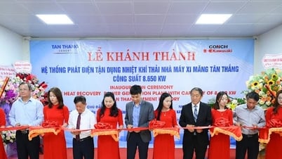 Cimenterie Tan Thang : Inauguration du système de production de chaleur résiduelle (WHR)