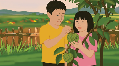 Gặp lại thanh xuân