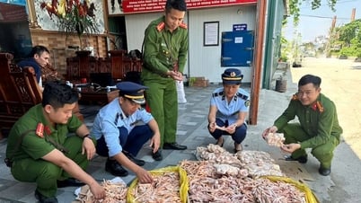 Nghệ An liên tiếp phát hiện thực phẩm không rõ nguồn gốc