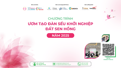 Khởi động chuỗi Chương trình “Ươm tạo Đàn Sếu khởi nghiệp Đất Sen hồng - năm 2025”