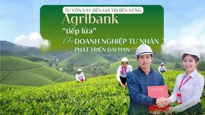 Agribank, 민간기업의 장기적 발전을 '촉진'