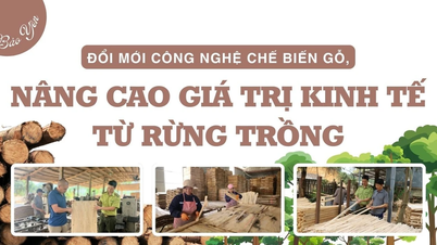 Bảo Yên đổi mới công nghệ chế biến gỗ, nâng cao giá trị kinh tế từ rừng trồng