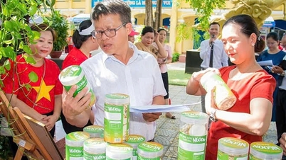 OCOP 제품의 경제적 잠재력