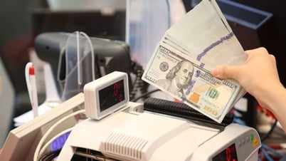 Illegaler Kauf und Verkauf von USD in Vietnam wird streng bestraft