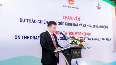 60% đất nông nghiệp Việt Nam bị xói mòn: Hồi chuông cảnh báo không thể xem thường - Báo và Đài Phát thanh Truyền hình Lạng Sơn