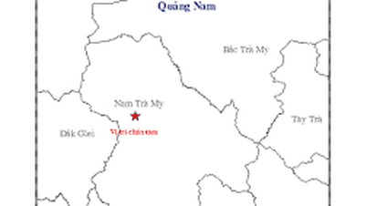 Información de investigación sobre el traslado de 1.034 personas a Da Nang (nuevo) o Quang Ngai después de la fusión