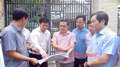 Los líderes provinciales inspeccionan el progreso de algunos proyectos de transporte claves.