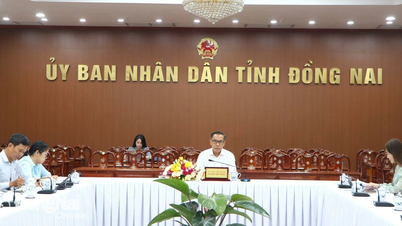 Việt Nam và các nước Trung Đông, châu Phi còn nhiều dư địa để hợp tác phát triển
