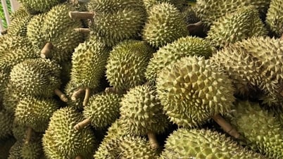 ប្រធាន​សមាគម​ផ្ញើ​លិខិត​ទៅ​រដ្ឋមន្ត្រី