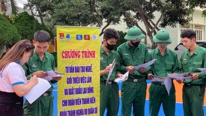Tư vấn hướng nghiệp cho hơn 1.900 quân nhân hoàn thành nghĩa vụ quân sự
