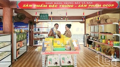 OCOP libera el potencial de los productos agrícolas de Dinh Hoa