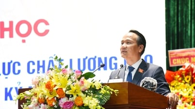 Tragen Sie zum Aufbau der Zukunft der Stadt Da Nang bei