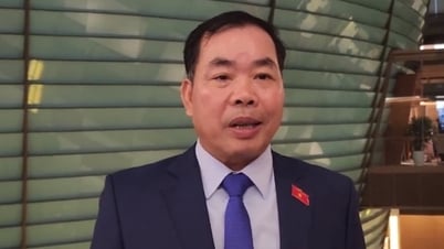 Chấp nhận rủi ro trong nghiên cứu để đầu tư đúng cho khoa học