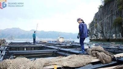 Lutter résolument contre les violations de l’exploitation illégale et de l’aquaculture