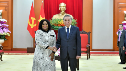 [Ảnh] Tổng Bí thư Tô Lâm tiếp Phó Tổng thư ký thứ nhất Đảng Đại hội Dân tộc Phi (ANC) của Nam Phi