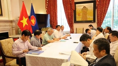 Việt Nam và Mỹ chính thức đàm phán thuế quan lần 2