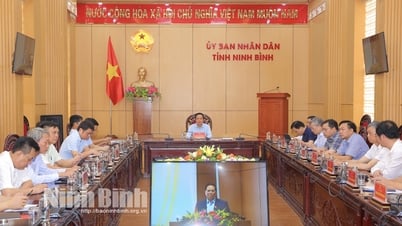 El primer ministro Pham Minh Chinh preside una conferencia en línea para impulsar el crecimiento de la inversión pública.