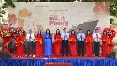 Ho Chi Minh Museum in collaboration with Hai Phong Museum and Library organized the exhibition "Remembering Uncle Ho's words. Hai Phong - belief and aspiration to rise up"