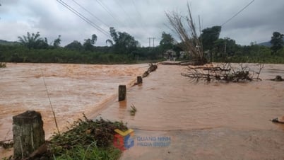 Mưa lớn gây ngập úng tại xã Quảng Đức, huyện Hải Hà