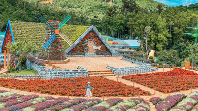 Descubre los 5 jardines de flores más bonitos de Dalat en verano: un destino imperdible en 2025