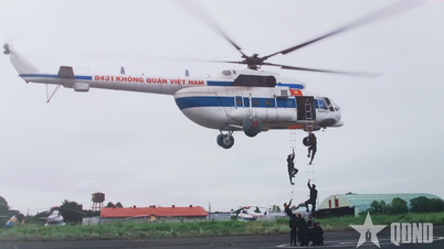917-й полк ВВС: 50 лет строительства, боев и развития