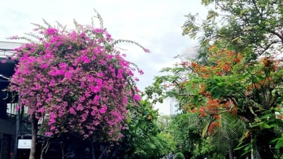 Thức dậy cùng thành phố