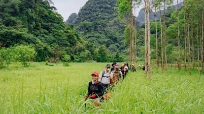 Lạng Sơn: Đưa Công viên địa chất ra thế giới