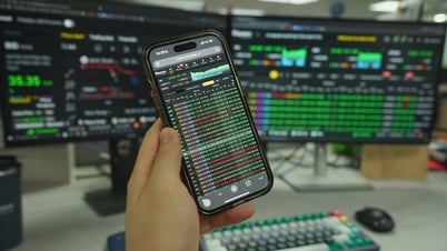 Vingroup group stocks turn purple, billionaire Pham Nhat Vuong's assets increase to unprecedented high