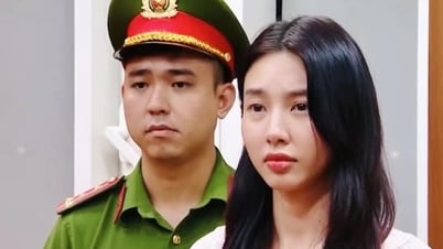 เหตุใดคุณทุย เตียน จึงไม่มีชื่ออยู่ในรายชื่อผู้ถือหุ้นผู้ก่อตั้งของบริษัท จิ เอม โรต?