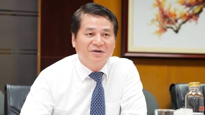 Nhiều doanh nghiệp Nhật háo hức nhập vải thiều Việt Nam