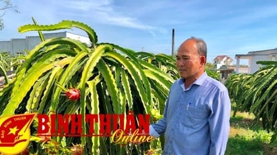 「老後を明るい手本に」運動に携わる高齢者
