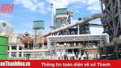 Inauguration du système de production d'électricité à partir des gaz résiduaires de l'usine de ciment de Tan Thang