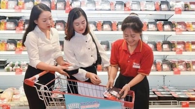 Actualités de l'industrie et du commerce, 20 mai : Le marché intérieur, un filet de sécurité pour les entreprises lorsque les exportations rencontrent des difficultés