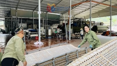 Đào tạo nghề, giải quyết việc làm cho đồng bào dân tộc thiểu số