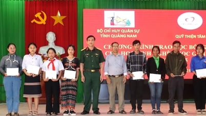 タイザン県の15人の学生に奨学金を授与