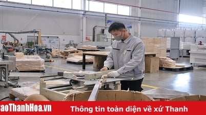 Conversion des énergies vertes en entreprise : la source du développement durable