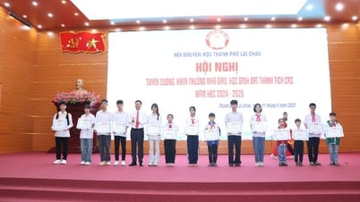 Tuyên dương, khen thưởng nhà giáo, học sinh đạt thành tích cao năm học 2024-2025