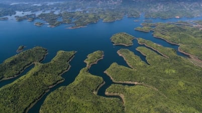 เกาะฟู้กวีและทะเลสาบตาดุงได้รับการเสนอให้เป็นแบบจำลองพิเศษสำหรับการพัฒนา